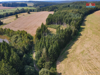 Prodej lesa, 1501 m², Kamenice nad Lipou - 2