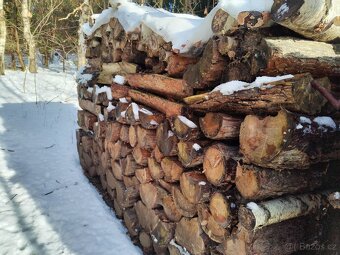 Palivové dřevo prodám - 2