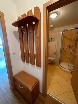 Velká Bíteš 1+kk - 2