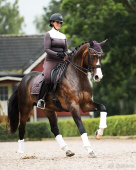 Podsedlova decka Equestrian Stockholm Moonless Night DL - 2