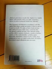 Proč jsme se rozešli (Daniel Handler) - 2