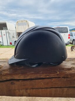 Helma Harry's horse - 2