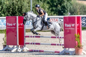 Sportovní pony B klisna - 2