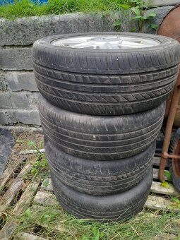 Letni sada renault - 2
