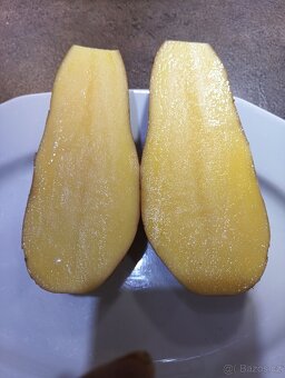 Brambory na uskladnění - 2