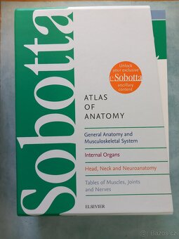 Sobottův anatomický atlas (angličtina a latina) - 2