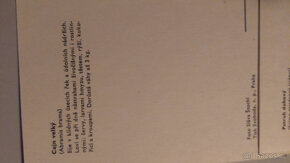 pohlednice - ryby - 2