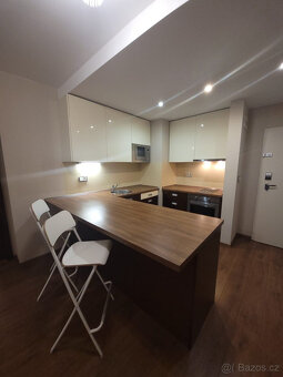 Pronájem bytu 2+kk, U Borského parku 2887/27, 52 m2 - 2