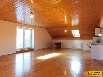 Dobšice, pronájem bytu OV 3+kk, 130 m², zahrada – byt - 2