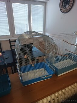 Klece, Voliera, Andulky - 2