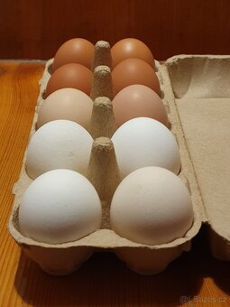 Poctivé domácí vajíčka, vejce - 2