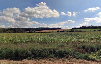 Zemědělská půda, prodej, Velečín, Plzeň sever - 2