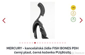 Ergonomická kancelářská židle FISH BONES PDH - 2