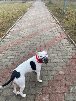 Aura hledá rodinu - 2