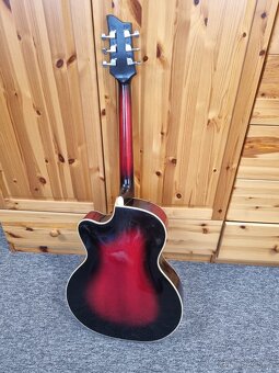 Gibsonka celomasiv - 2