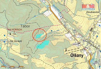 Prodej, les 8828m2, Olšany - 2