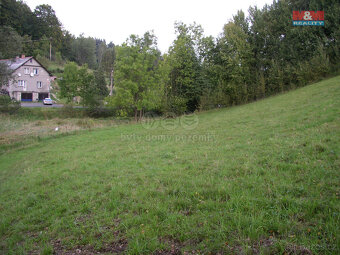 Prodej louky, 2494 m², Janův Důl - 2
