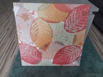 Obraz-plátno 56x56 cm - 2