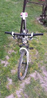 Scott Spark - 2