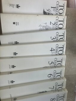 Toulky českou minulostí - 2