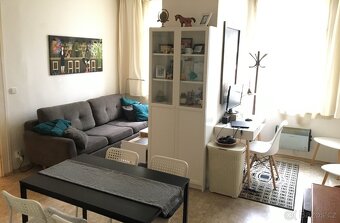 Krásný a prostorný byt 2kk 40m2 Kounicova od 1.8.2025 - 2