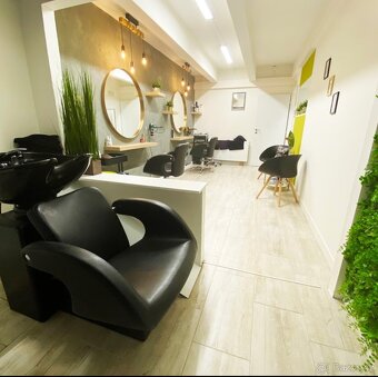 Pronájem kadeřnického křesla - 2