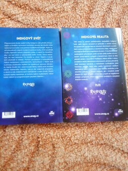 Simon Loyd: INDIGOVÝ SVĚT+INDIGOVÁ REALITA - 2