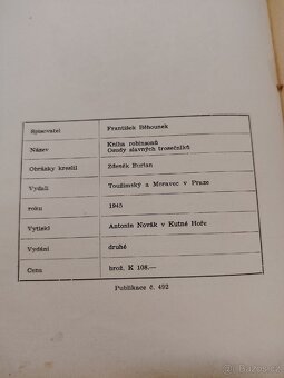Kniha Robinson - 2
