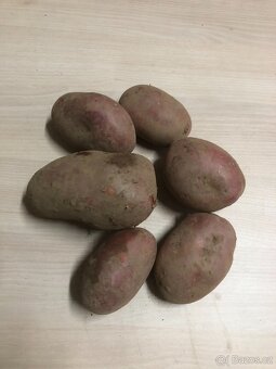 Brambory červené - 2