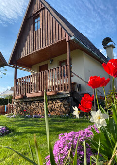 Zděná chata – Dolní Staré Město, Trutnov (ul. Přespolní) - 2