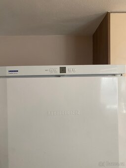 Liebherr GN 3023 – šuplíkový mrazák - 2