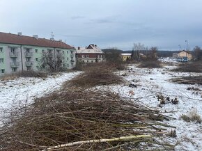 Zdarma větve na podpal - 2
