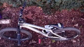 Rose The bruce 2 - 2