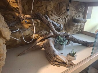 Prodám terárium - 2