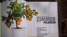 Kniha Zimmerpflanzen - 2