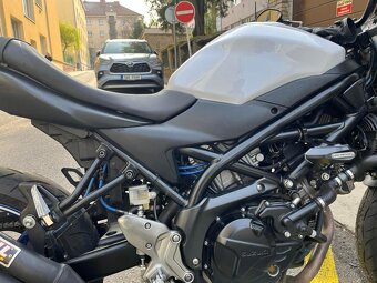Suzuki SV650 - 2017 - 2