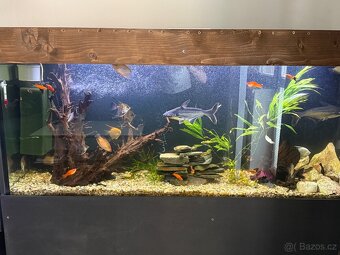 Akvarijní štěrk - 2