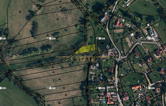 Trvalý travní porost v k.ú. Šimanov na Moravě - 2