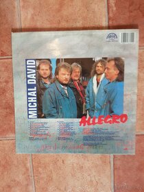 Michal David - Allegro (LP) - 2