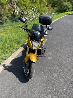 Honda Hornet CB600F - 2