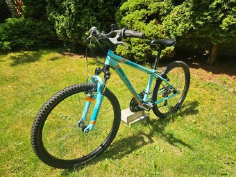 Rockridet ST500 24 horske kolo - 2