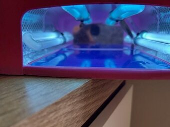 UV lampa na gelové nehty - 2