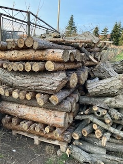 Palivové dřevo - 2