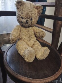 Velký mručící medvěd a malý medvídek. - 2