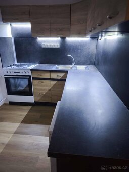 BYT 2+1 PO KOMPLETNÍ REKONSTRUKCI - 2