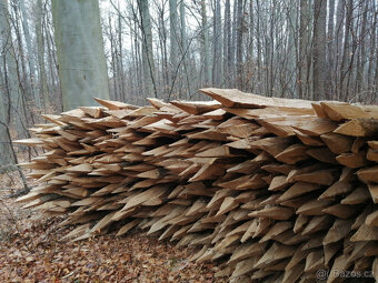 Kůly dub 100 kč/kus, délka 210cm - 2