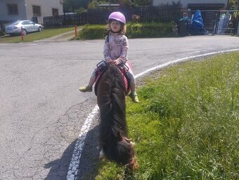 Pony - 2