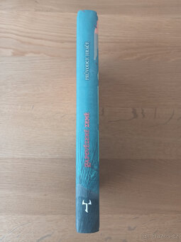 Zapovězené země - průvodce hráče - 2