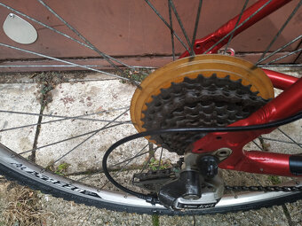 pánské kolo Author - 2