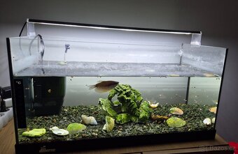 Akvárium 60l komplet - 2